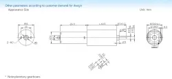 Planetary gear motor