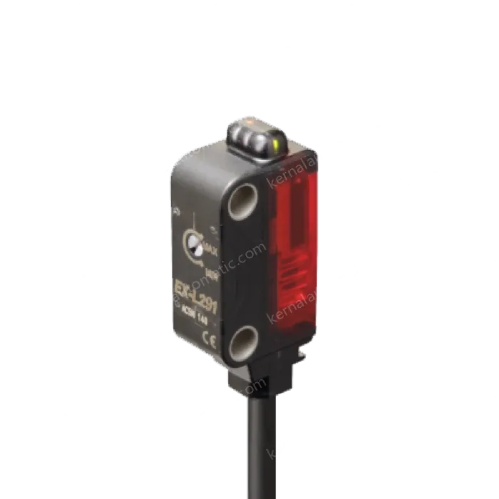 EX-L291-P