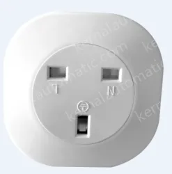 Smart socket LSPA10 UK standard