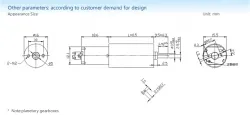 Planetary gear motor
