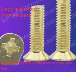 Golden Flat Head Screws M3*100