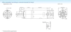 Planetary gear motor