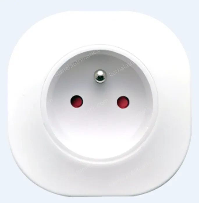 Smart socket LSPA10 regulations