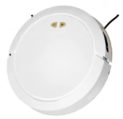 Sweeping robot ZNSDJQR-5