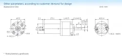 Planetary gear motor