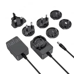 Multi-specification interchangeable pin power adapter 12V2A