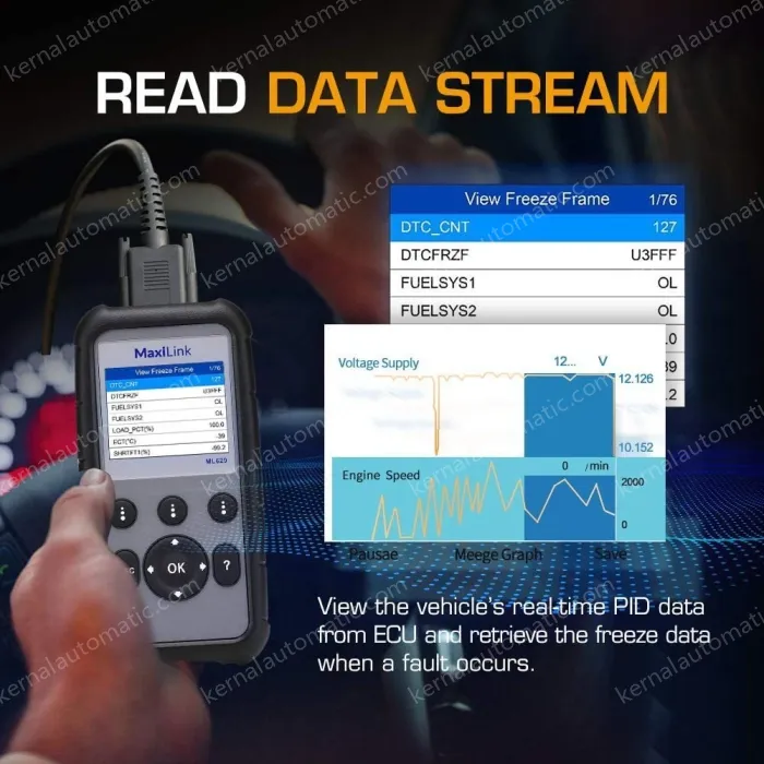 Aute1 MaxiLink ML629