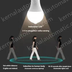 LED human body sensor light bulb-12W
